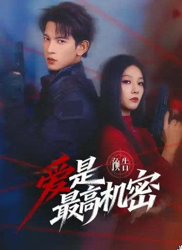 爱是最高机密(全集)