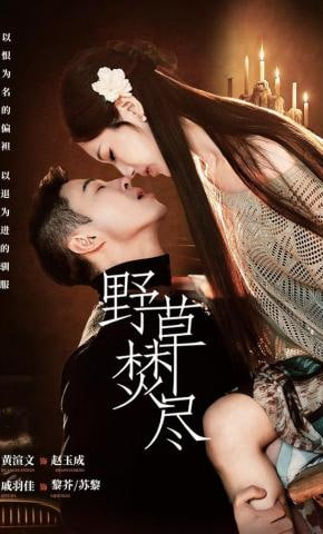 野草焚尽(全集)