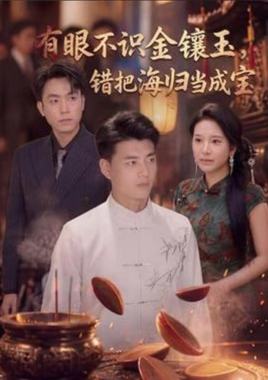 有眼不识金镶玉错把海归当成宝(全集)