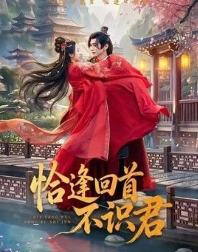 恰逢回首不识君(全集)