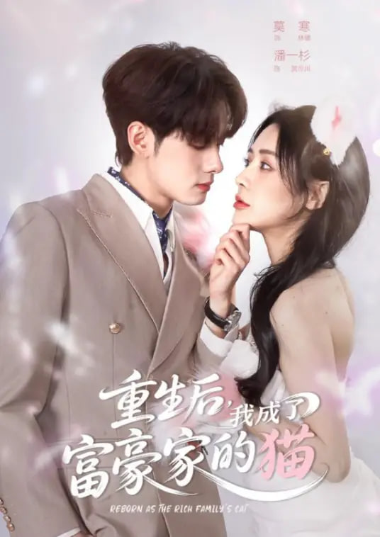重生后，我成了富豪家的猫(全集)