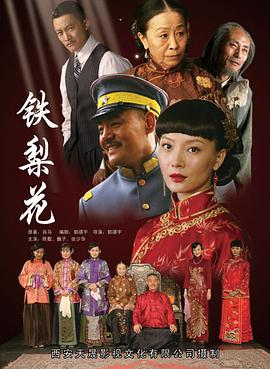铁梨花 第37集
