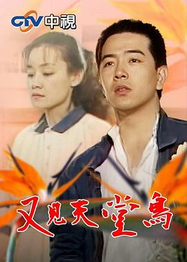 又见天堂鸟 第13集