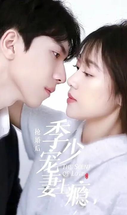 抢婚后，季少宠妻上瘾 全集(大结局)