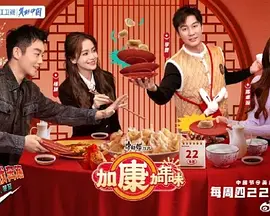 加康加年味(全集)