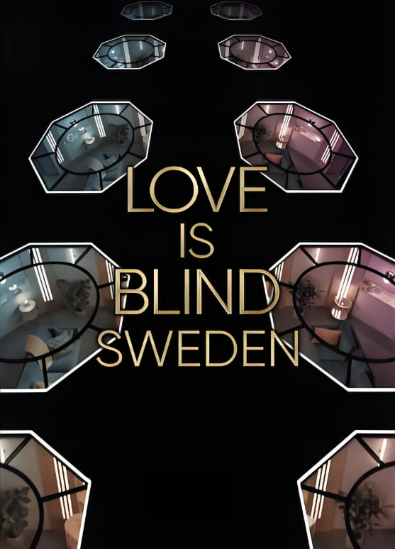 爱情盲选：瑞典篇 第二季(全集)