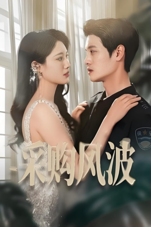 采购风波(全集)