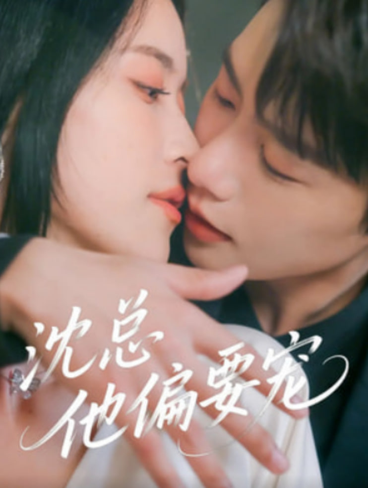 沈总他偏要宠(全集)