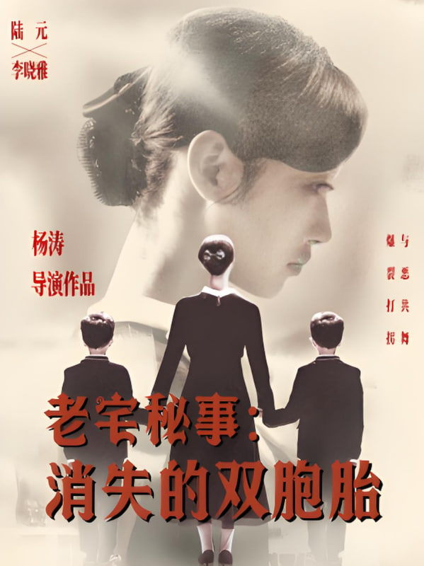 老宅秘事消失的双胞胎（消失的孩子）(全集)