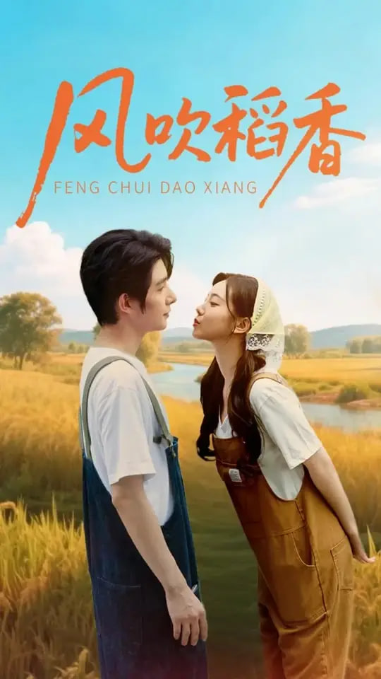 风吹稻香(全集)