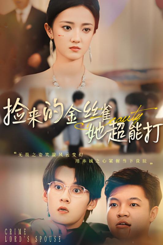 捡来的金丝雀她超能打（和小娇夫领证后夫人她不装了）(全集)