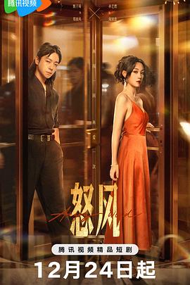 怒风 第04集